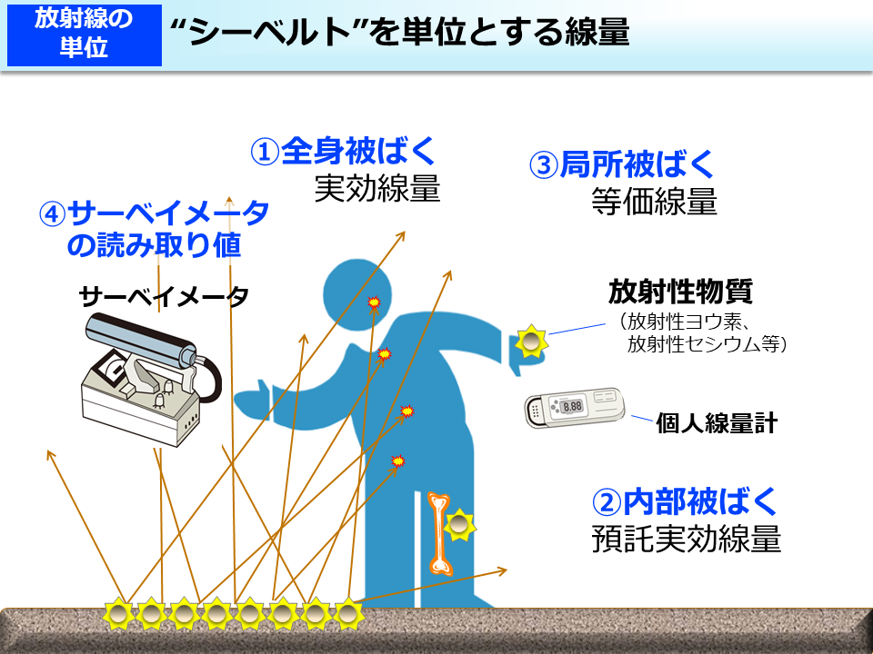 “シーベルト”を単位とする線量