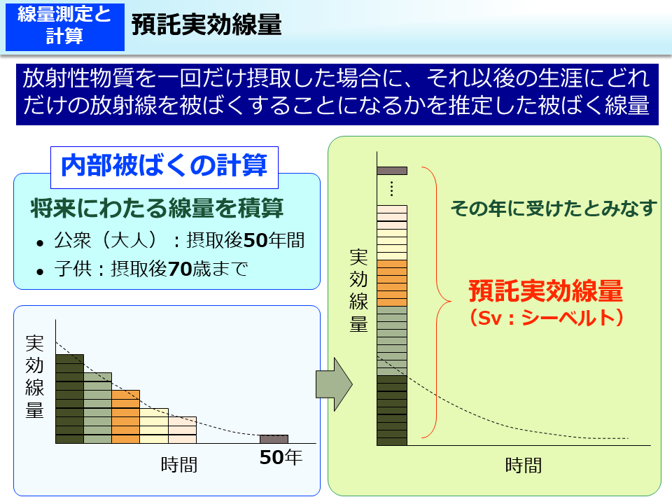 預託実効線量