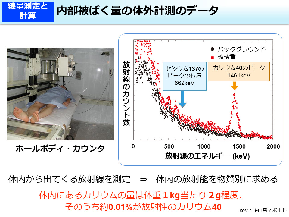 内部被ばく量の体外計測のデータ