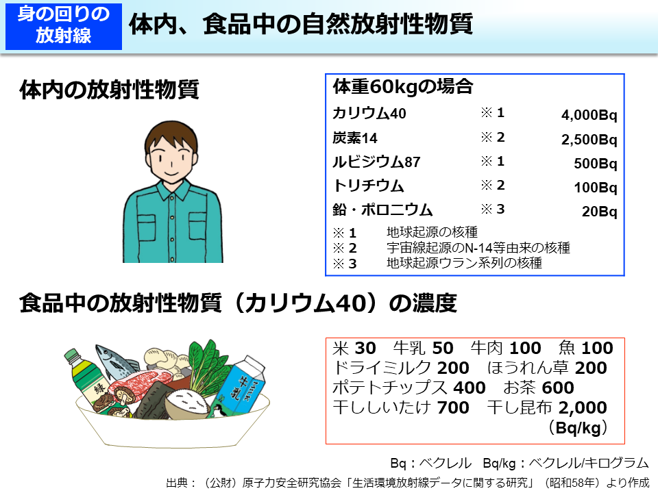 体内、食品中の自然放射性物質