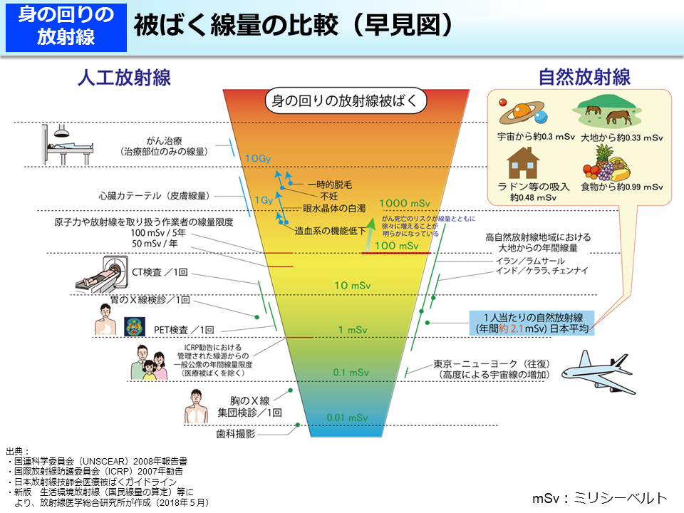 被ばく線量の比較（早見図）