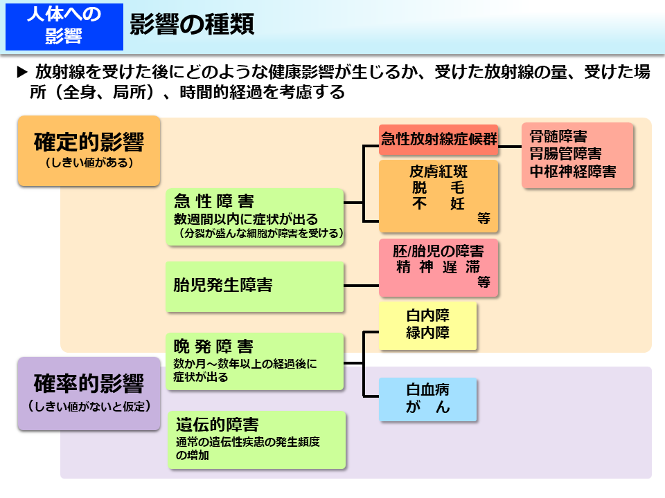 影響の種類