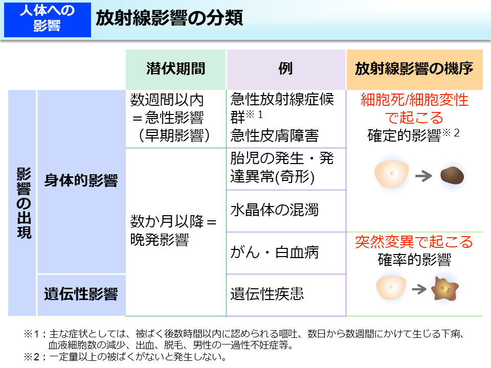 放射線影響の分類