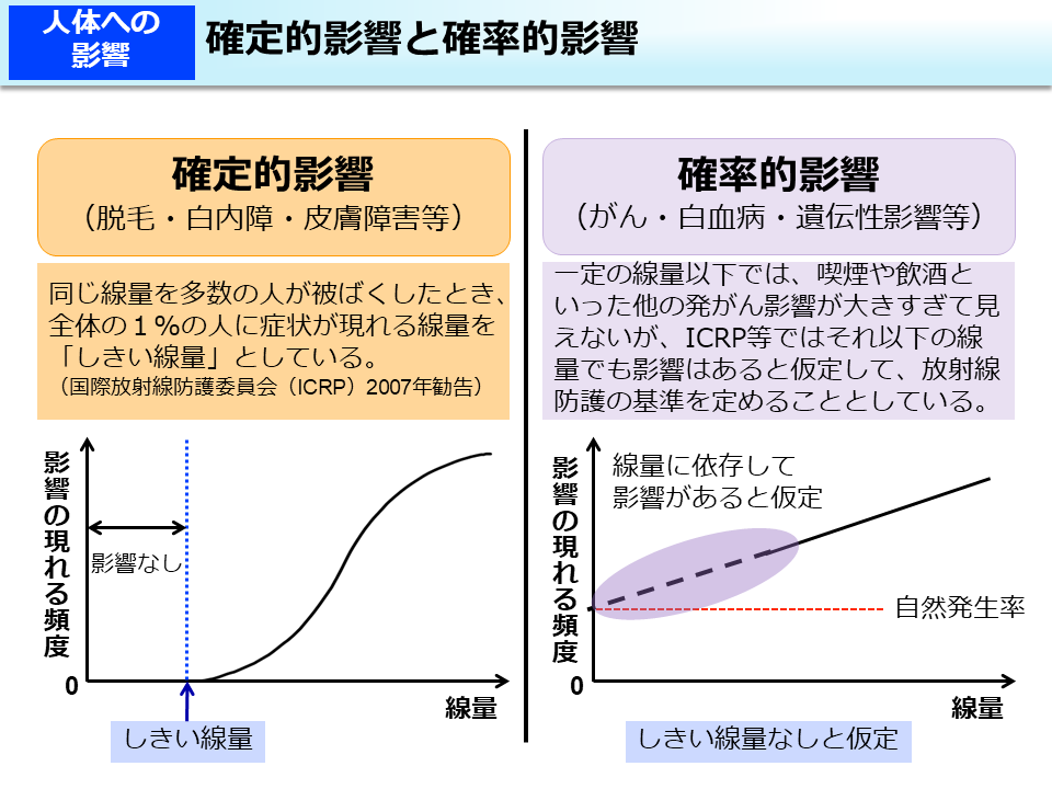 確定的影響と確率的影響