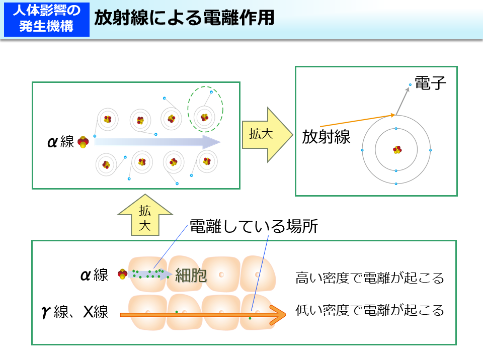 放射線による電離作用