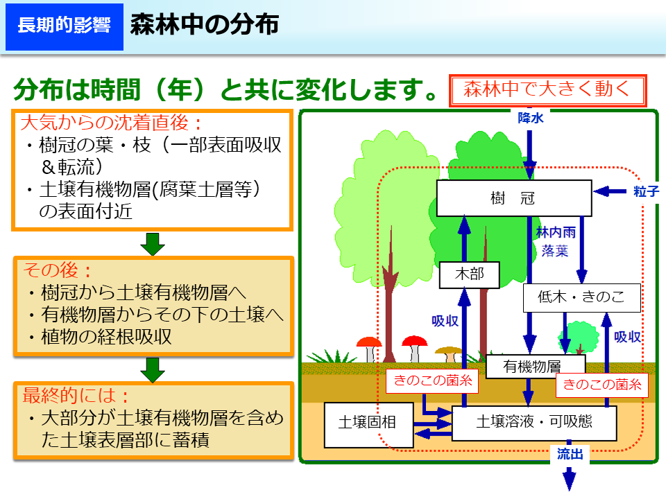 森林中の分布