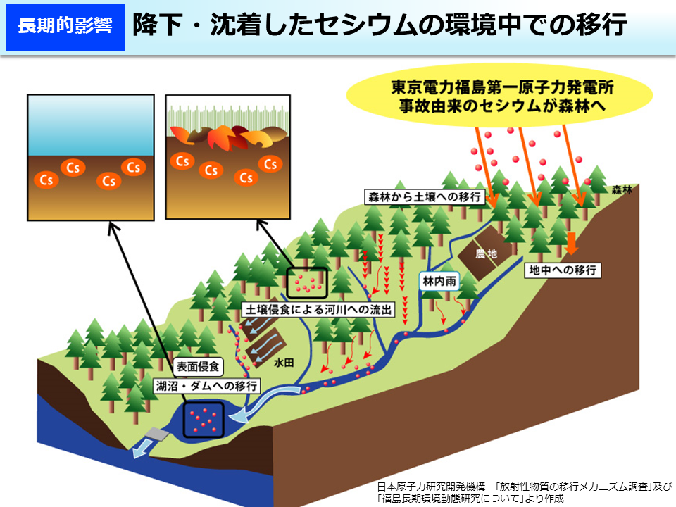 降下・沈着したセシウムの環境中での移行