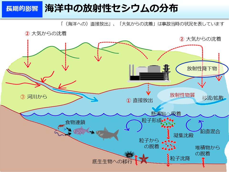 海洋中の放射性セシウムの分布