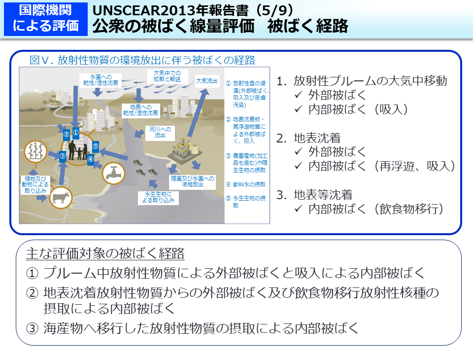 UNSCEAR2013年報告書（5/9）公衆の被ばく線量評価　被ばく経路