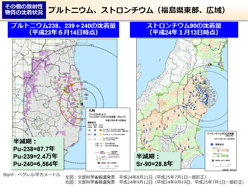 プルトニウム、ストロンチウム（福島県東部、広域）