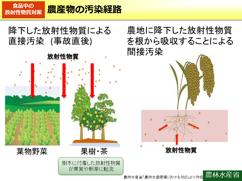 農産物の汚染経路