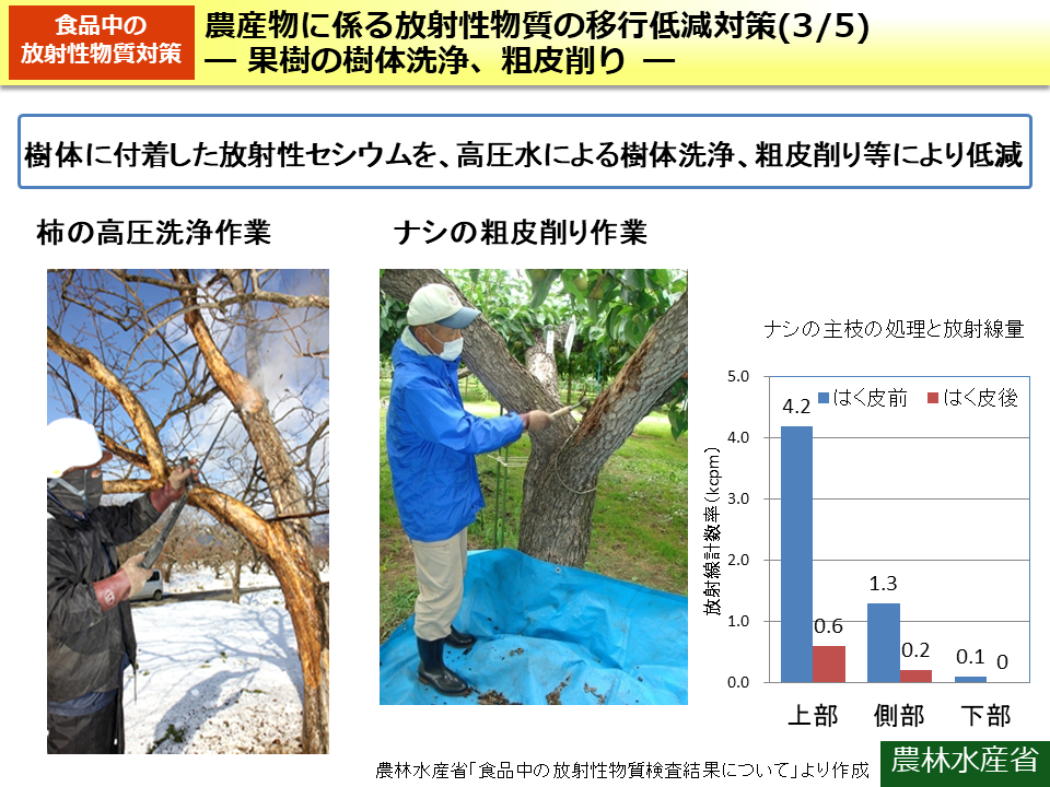 農産物に係る放射性物質の移行低減対策(3/5)－ 果樹の樹体洗浄、粗皮削り －