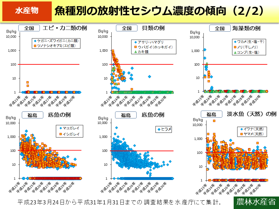 魚種別の放射性セシウム濃度の傾向（2/2）