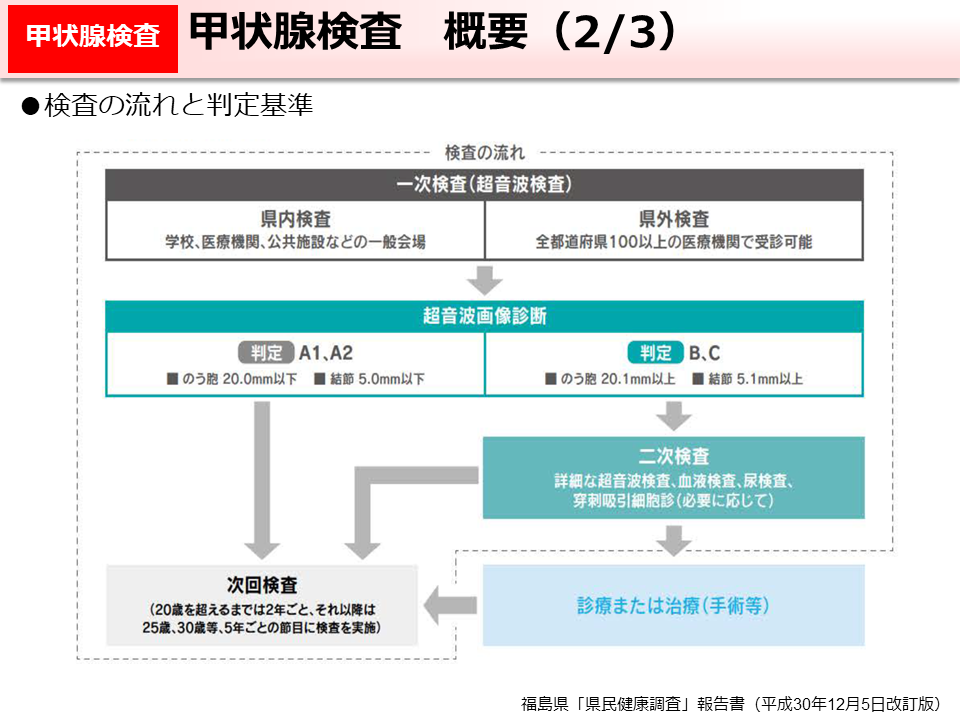 甲状腺検査　概要（2/3）