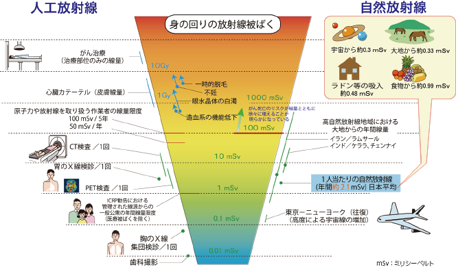 被ばく線量の比較（早見図）図