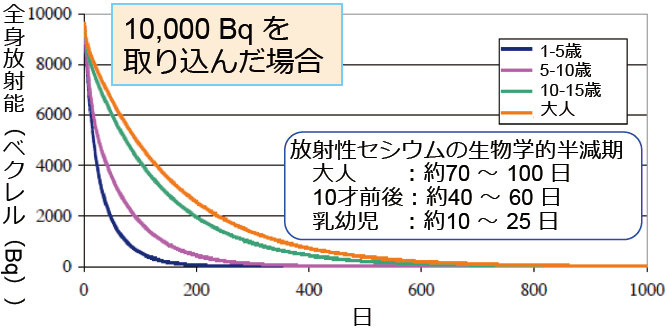 内部被ばくの考え方の図