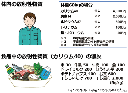 体内、食品中の自然放射性物質の図