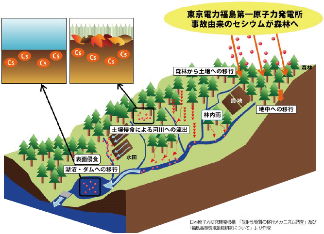 降下・沈着したセシウムの環境中での移行の図