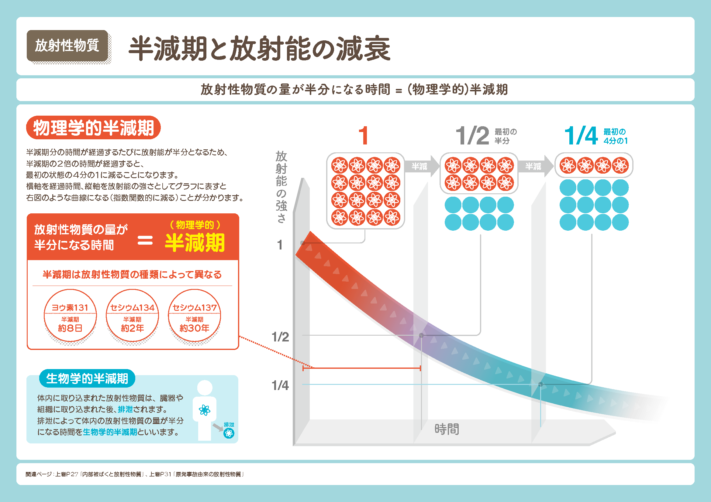 半減期と放射能の減衰