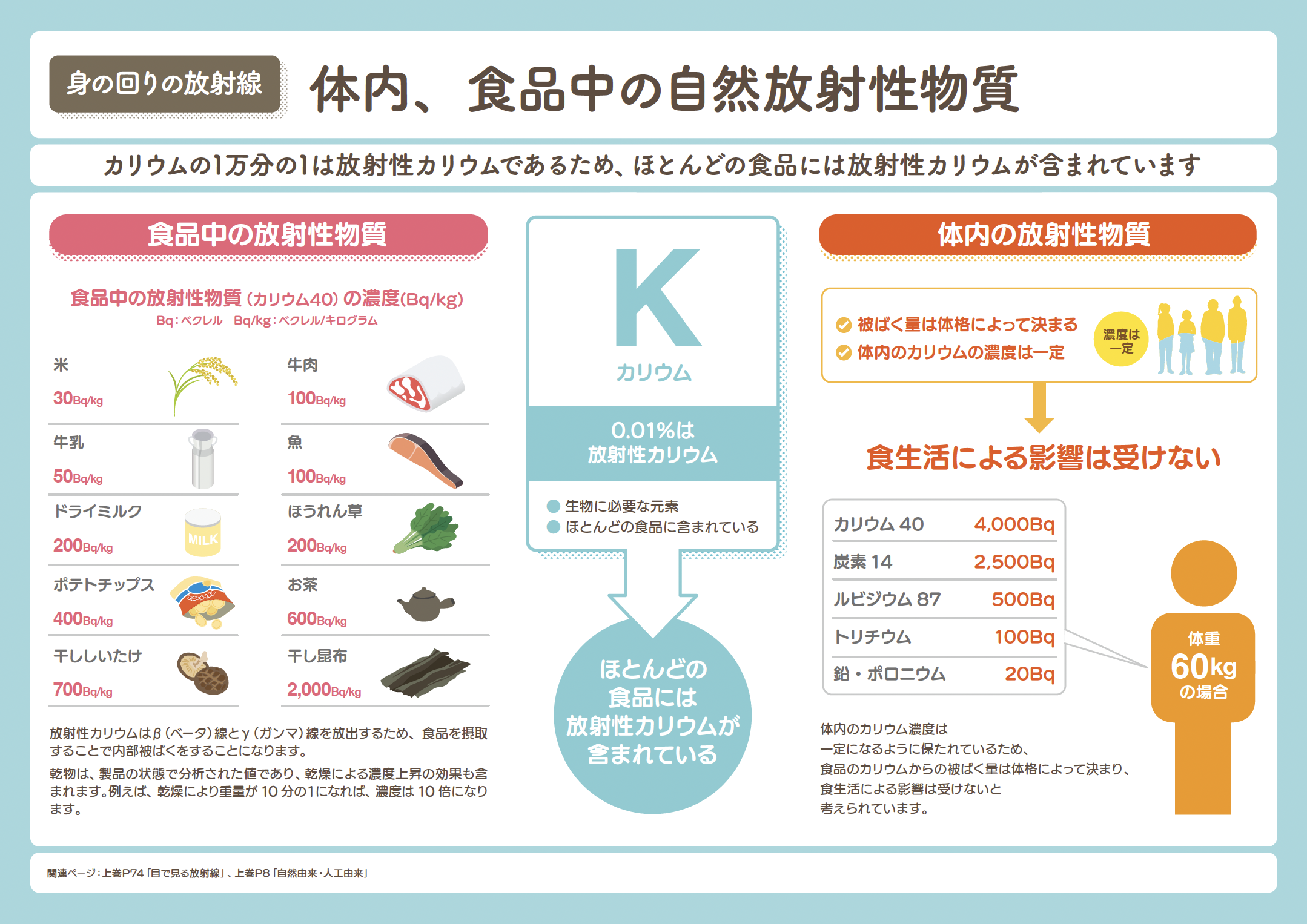 体内、食品中の自然放射性物質