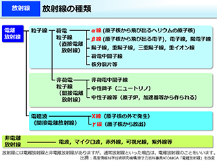 被爆二世における染色体異常