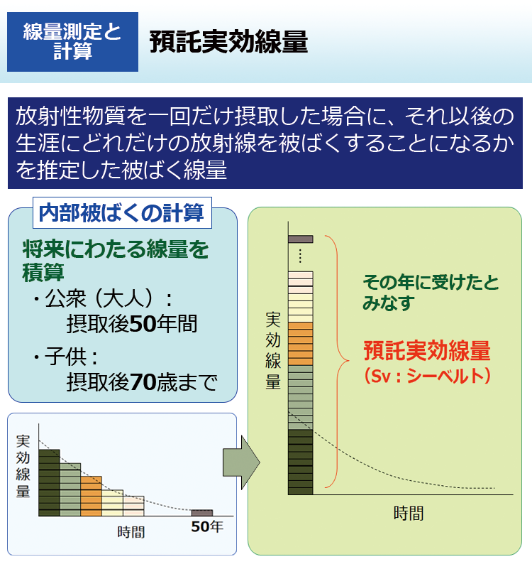 預託実効線量