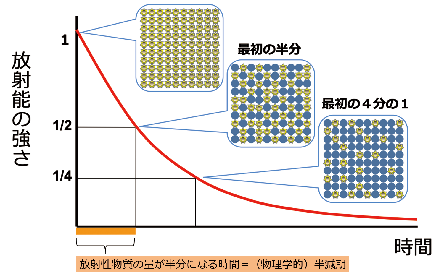 半減期と放射能の減衰