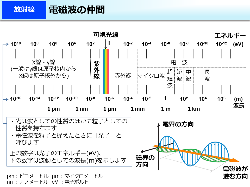 電磁波の仲間