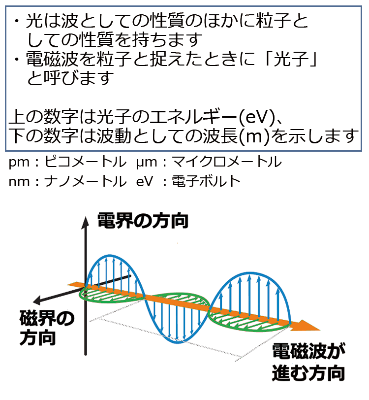 電磁波の仲間