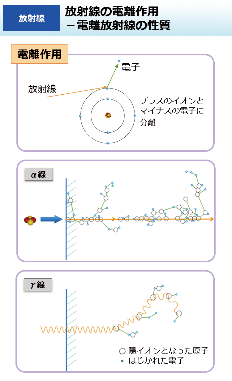 放射線の電離作用－電離放射線の性質
