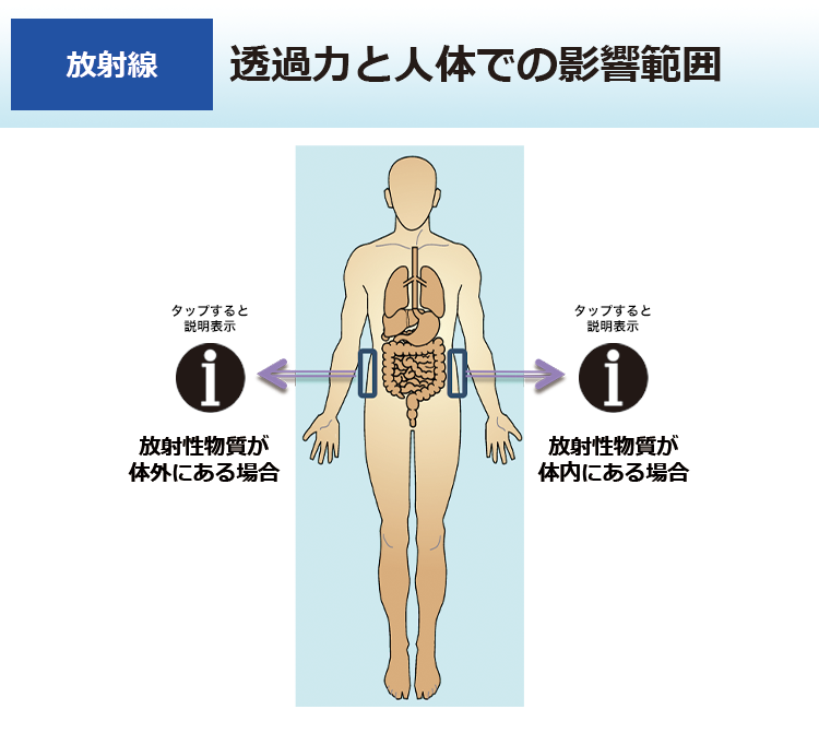 透過力と人体での影響範囲
