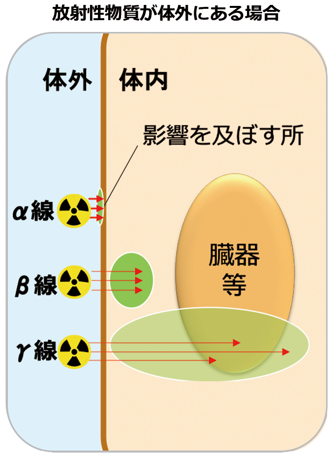 透過力と人体での影響範囲