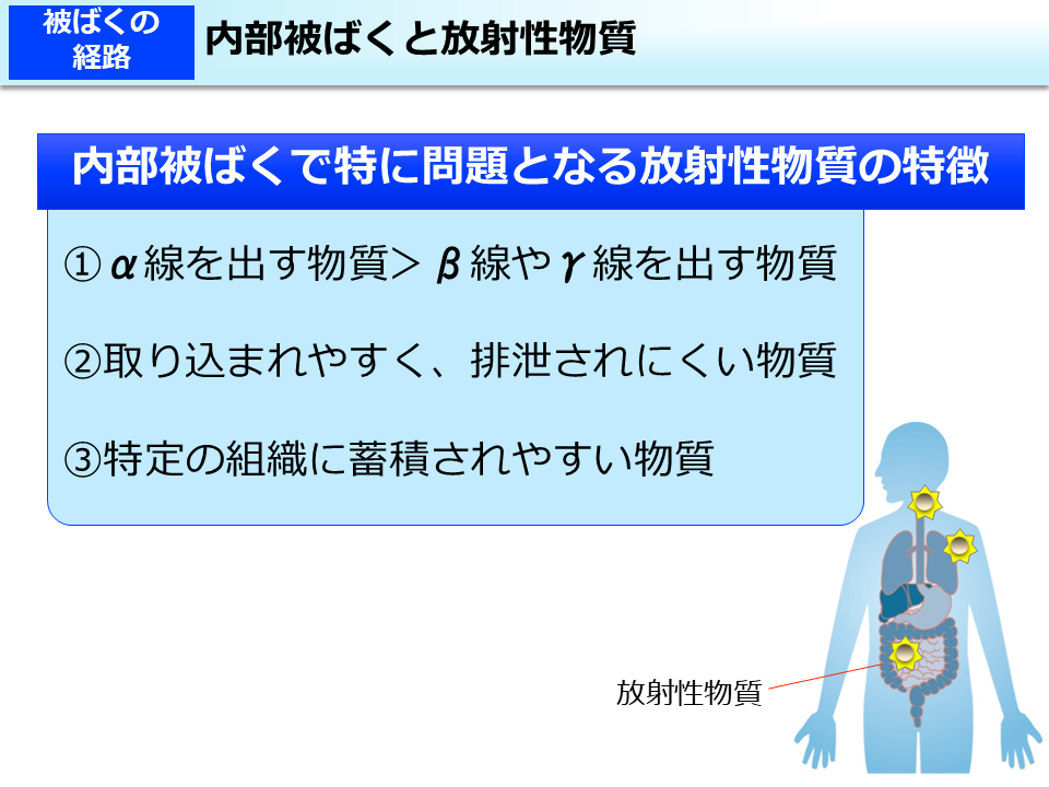内部被ばくと放射性物質