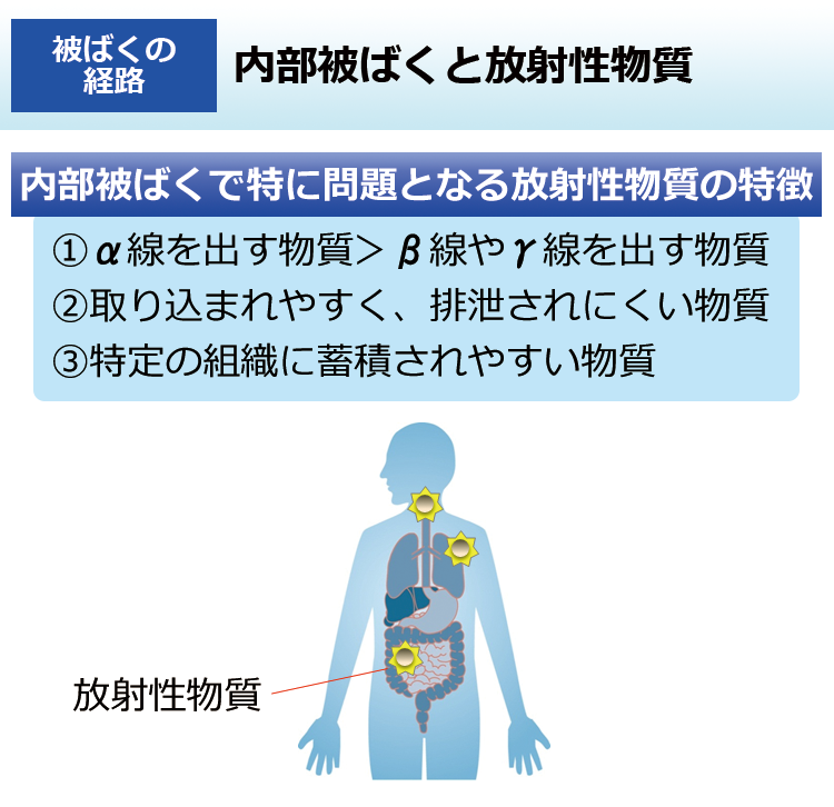 内部被ばくと放射性物質