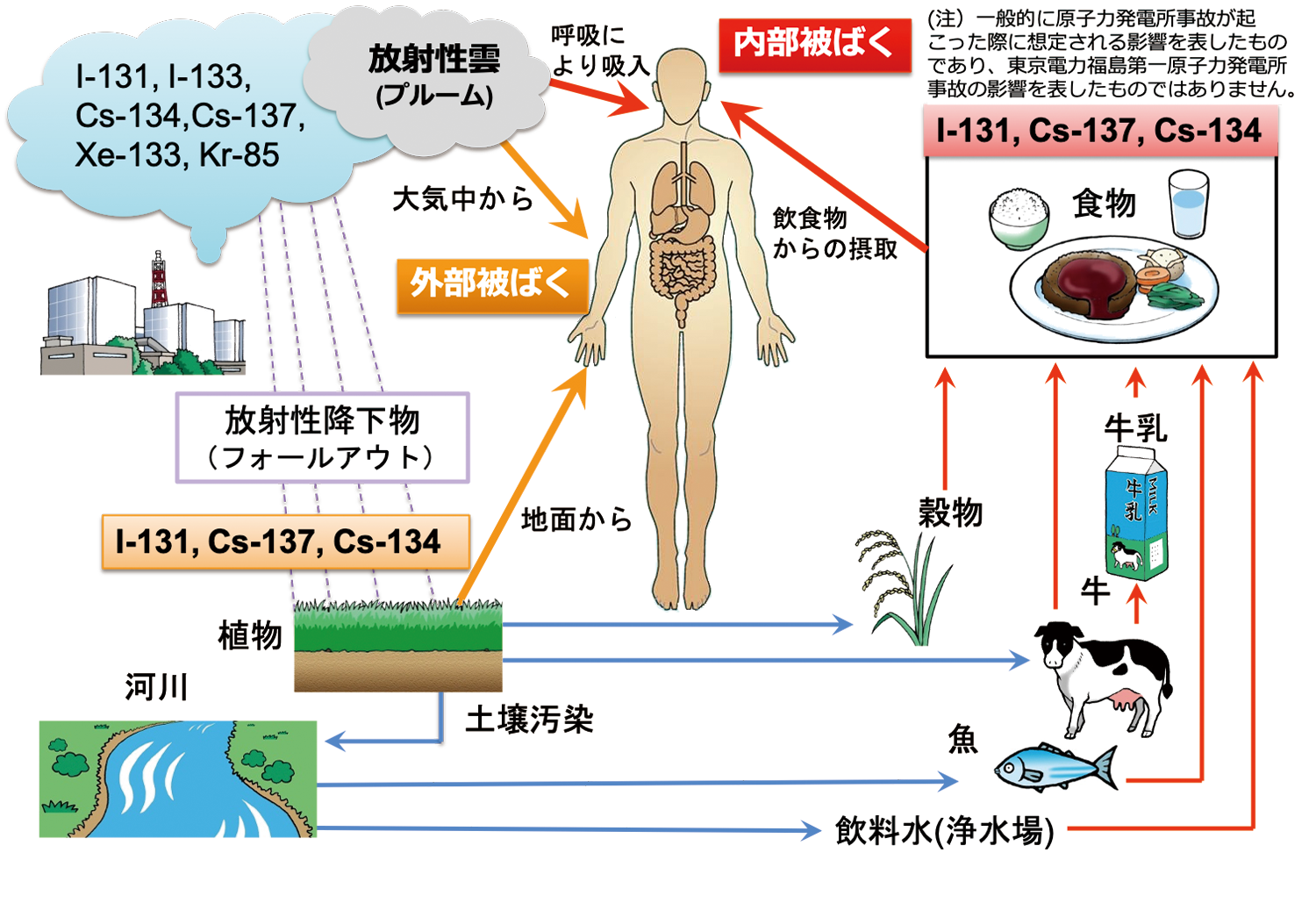 原子炉事故による影響