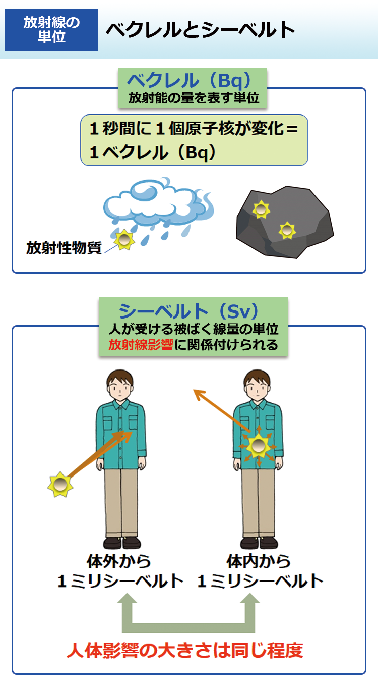 ベクレルとシーベルト