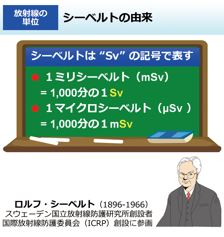 シーベルトの由来