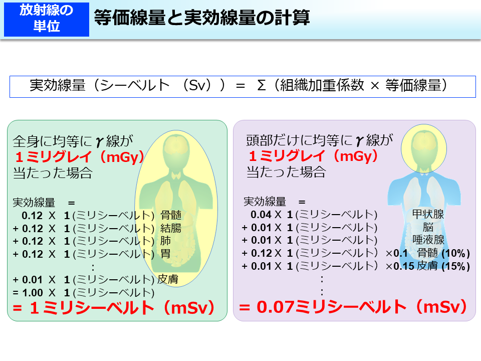 等価線量と実効線量の計算