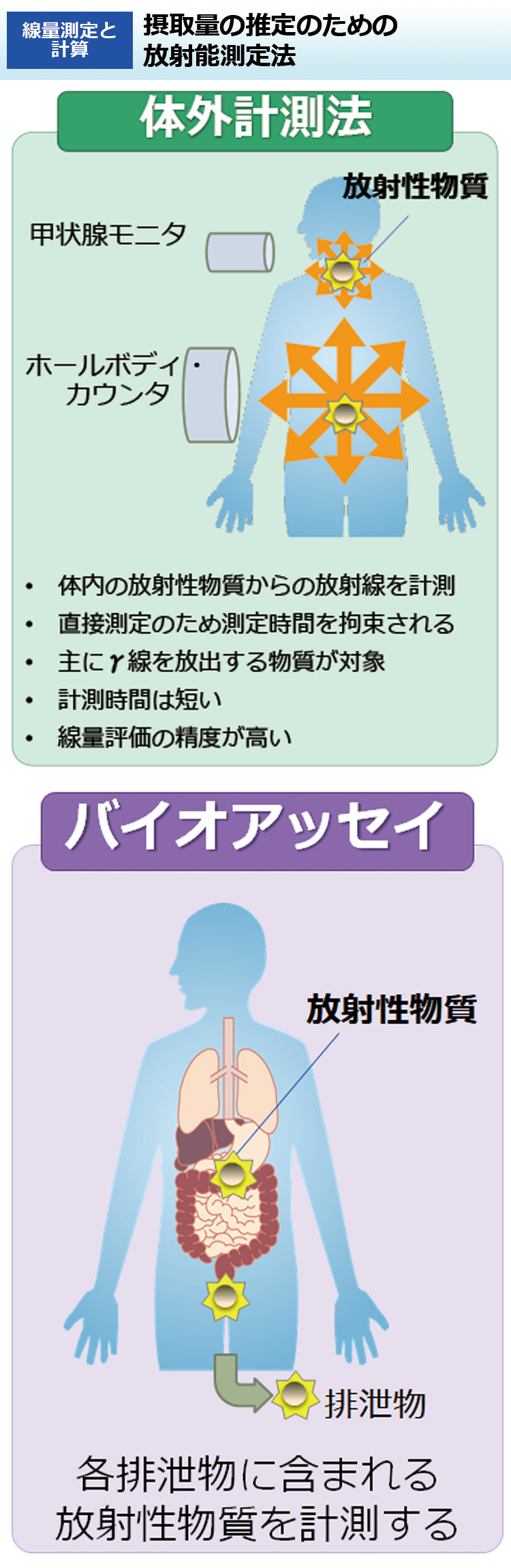 摂取量の推定のための放射能測定法