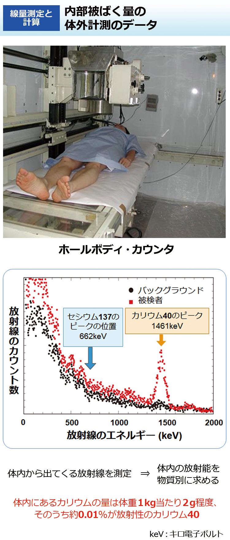 内部被ばく量の体外計測のデータ