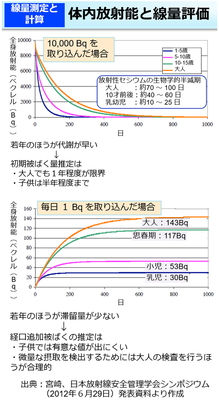 体内放射能と線量評価