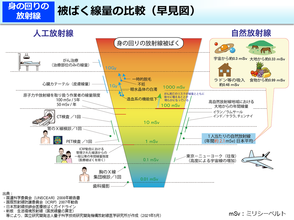 被ばく線量の比較（早見図）