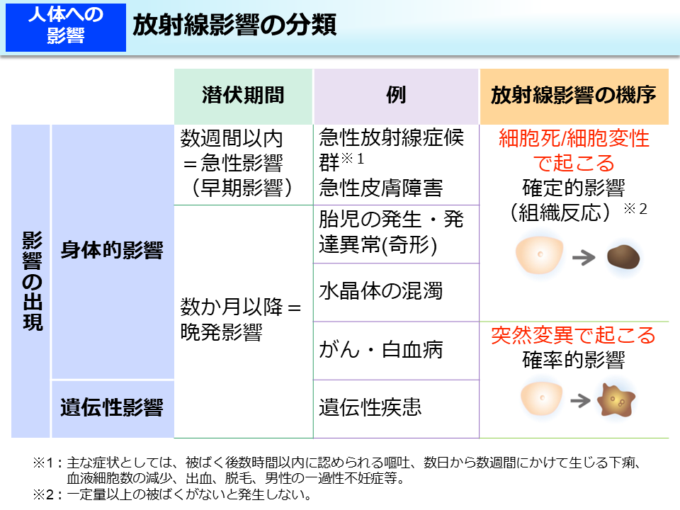 放射線影響の分類