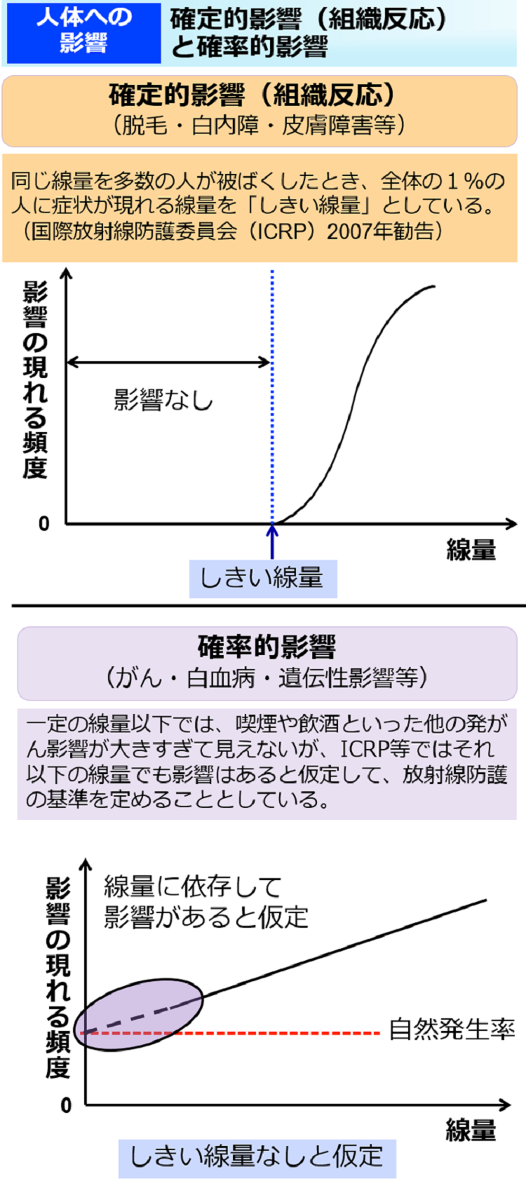 確定的影響（組織反応）と確率的影響