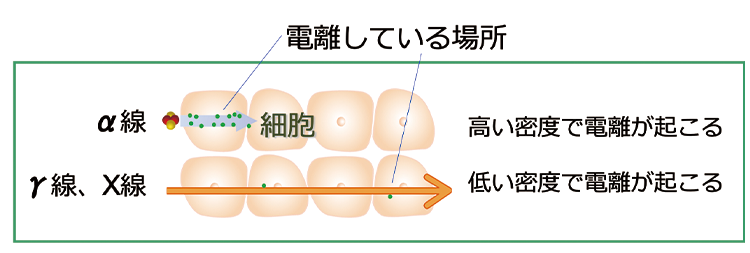 放射線による電離作用