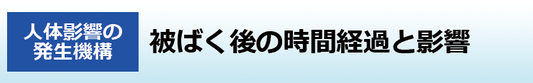 被ばく後の時間経過と影響