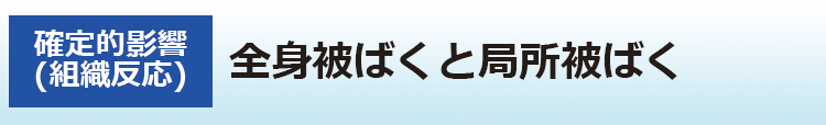 全身被ばくと局所被ばく