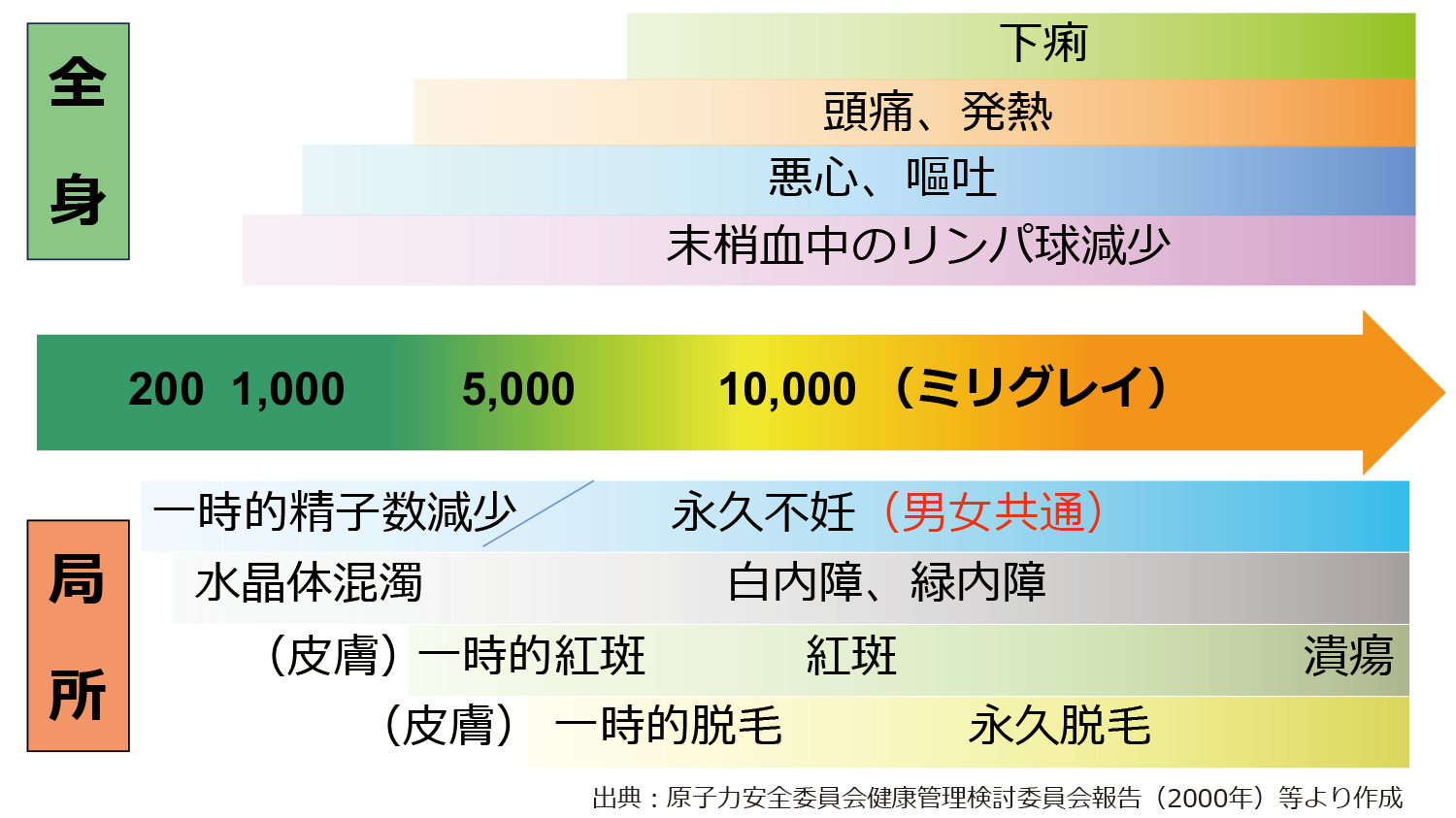 全身被ばくと局所被ばく