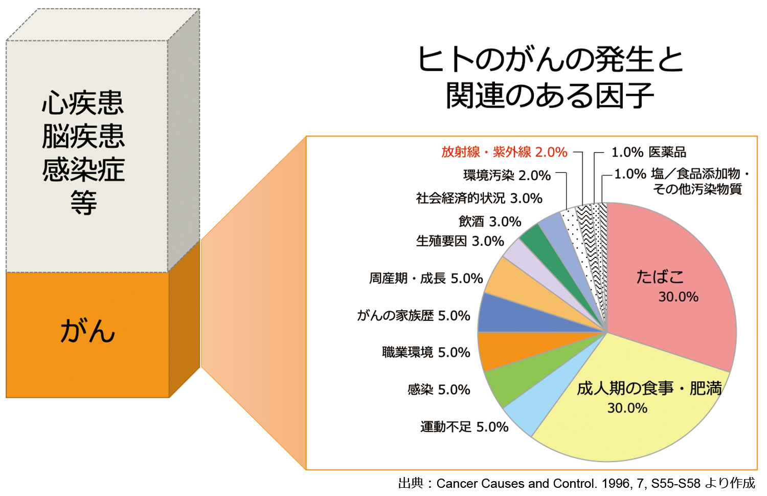 発がんに関連する因子