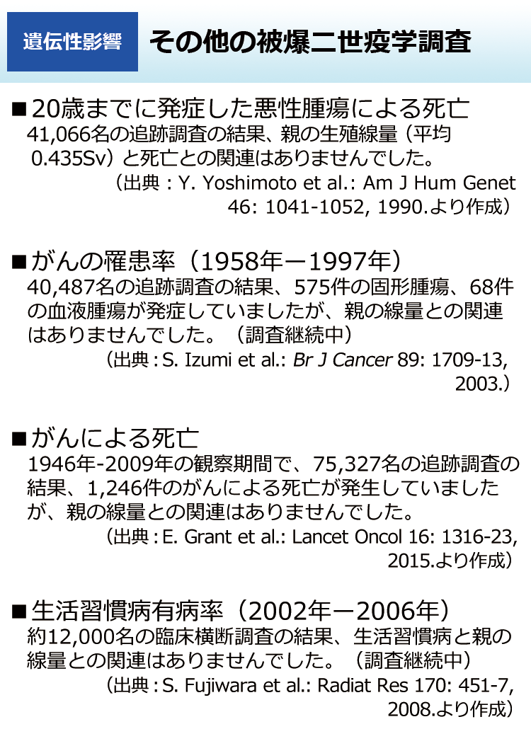 その他の被爆二世疫学調査